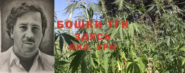 гашиш Дмитриев