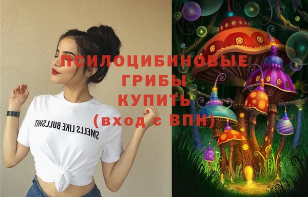 гашиш Дмитриев