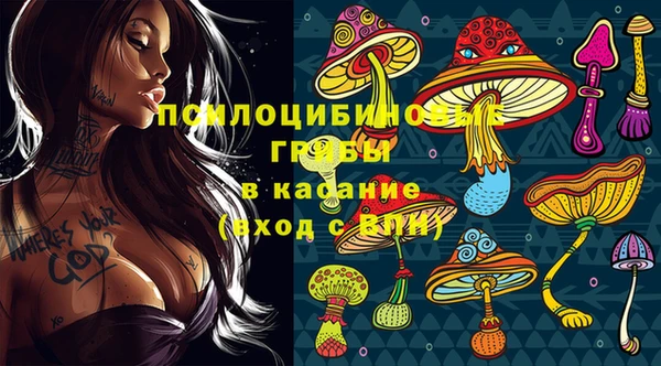 МДМА Дмитровск