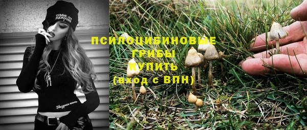 гашиш Дмитриев