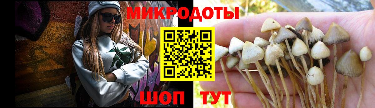 Псилоцибиновые грибы GOLDEN TEACHER Электросталь